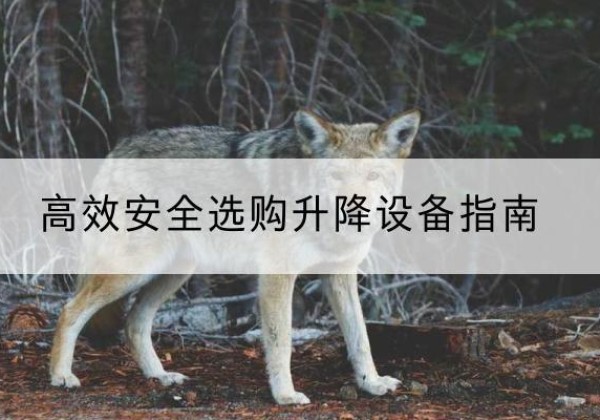 莲花升降货梯厂家推荐-*安全选购升降设备指南