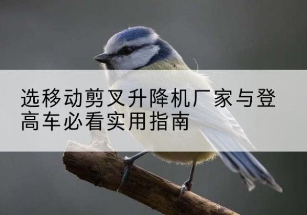 莲花电动升降机厂家-选移动剪叉升降机厂家与登高车必看实用指南