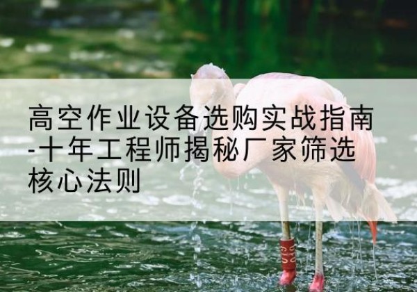 莲花剪叉式升降机厂家-高空作业设备选购实战指南-十年工程师揭秘厂家筛选核心法则